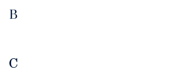 BSC Logo